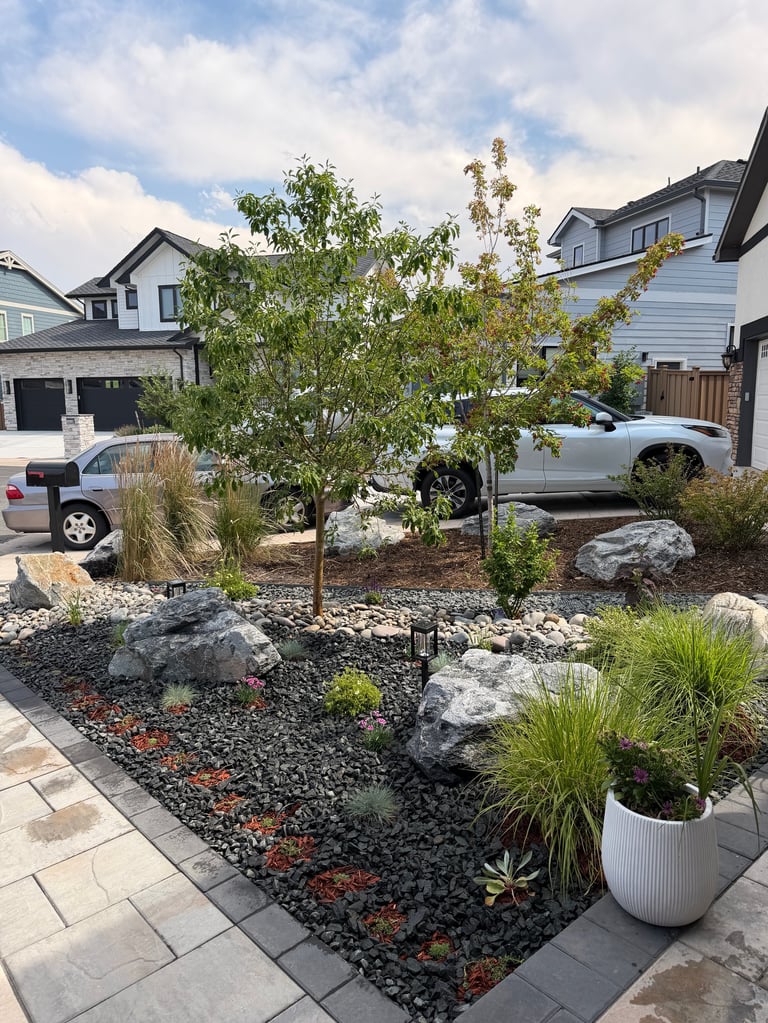 Front yard landscaping with young tree, ornamental grasses, river rocks, and planted beds in suburban driveway setting